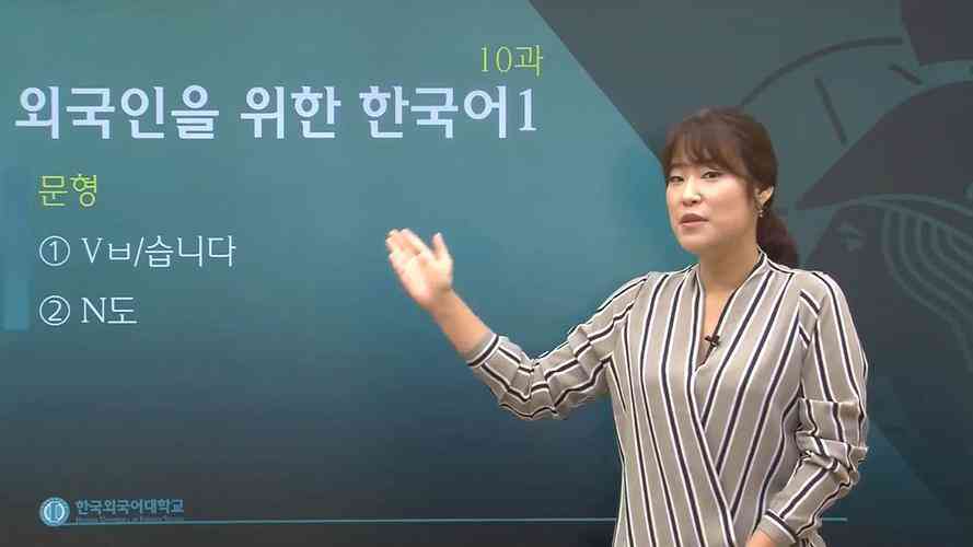 ​新东方韩语学习视频教程（FLASH版50课时）下载｜韩语入门学习资料