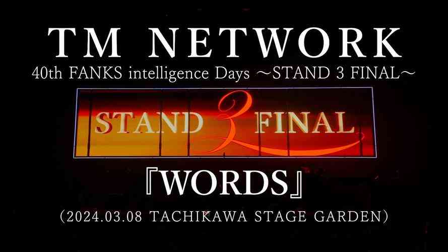 ​网络-活动-这是我的生命-2006MSN之夜（Overall design）下载｜品牌活动策划方案