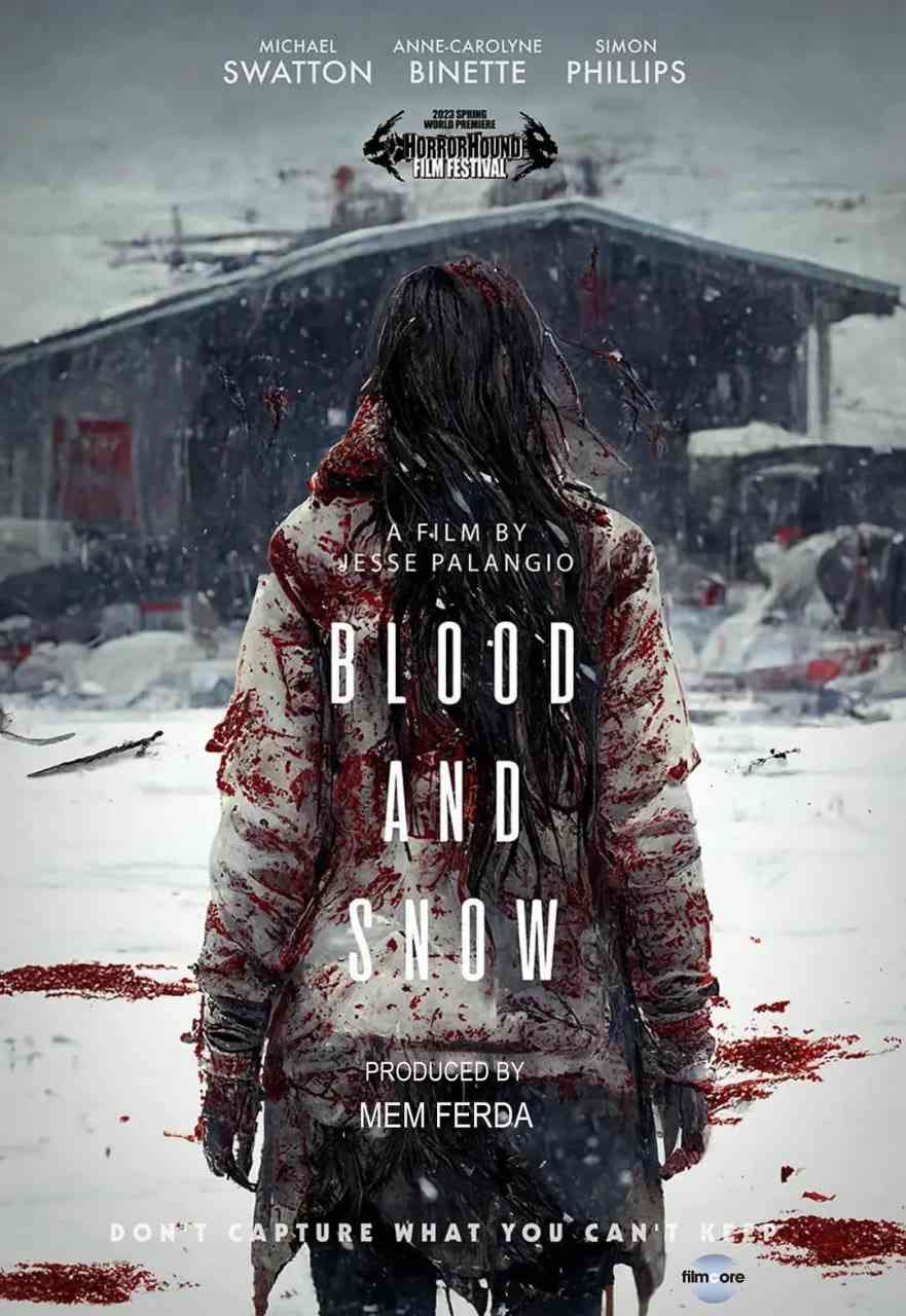 《血与雪》免费在线播放｜动作,犯罪·美国