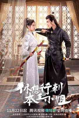 《休想行刺本王小姐》免费在线播放｜内地,国产·中国大陆  第1张