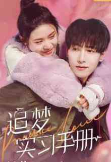 《追梦实习手册》免费在线播放｜内地,国产·中国大陆
