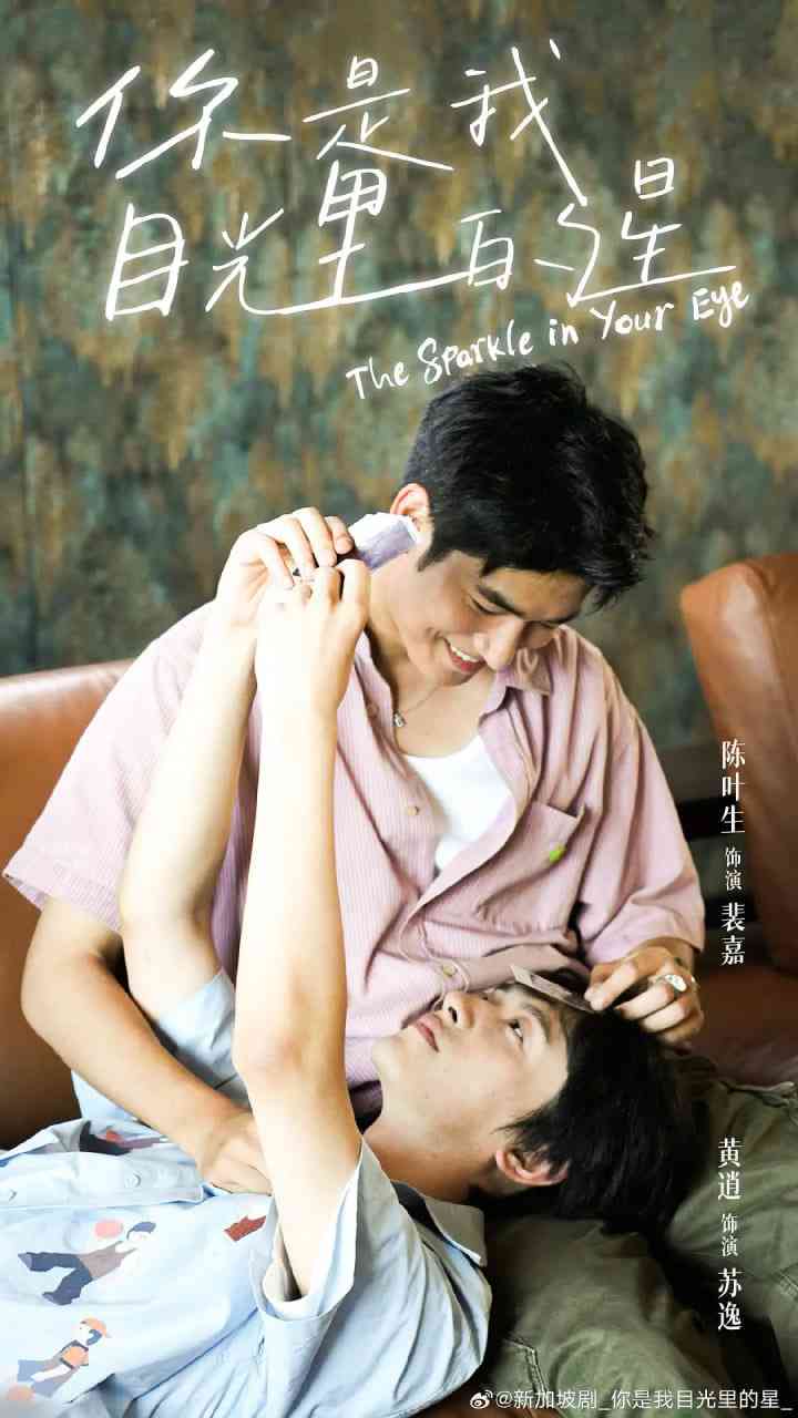 《你是我目光里的星》免费在线播放｜剧情,同性·中国大陆  第1张