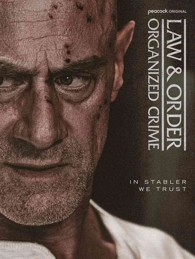 《法律与秩序：组织犯罪 第五季》免费在线播放｜剧情,犯罪·美国  第1张