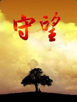 《守望 2008》免费高清无广告在线播放|内地,国产·中国大陆·2008