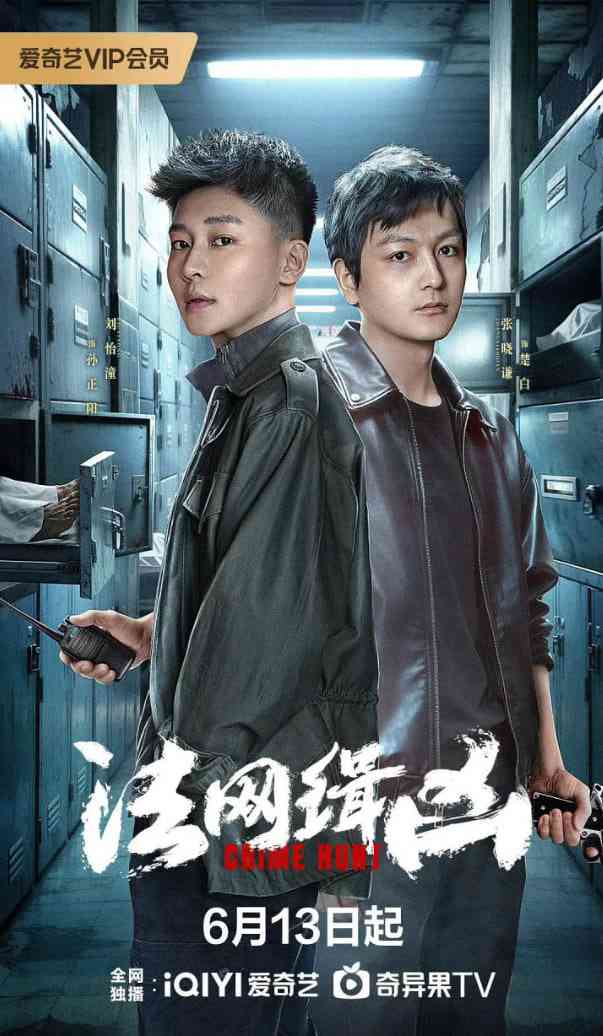 《法网缉凶》免费高清无广告在线播放|剧情,犯罪·中国大陆·2025