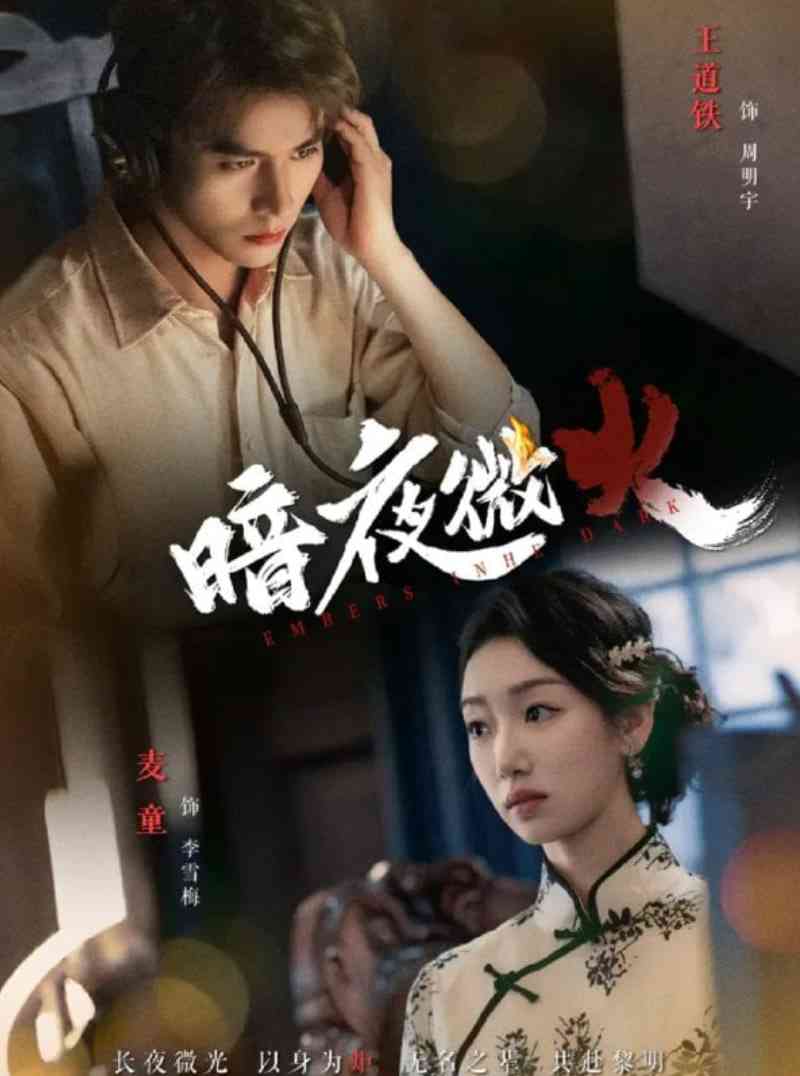 《暗夜微火》免费高清无广告在线播放|短剧·中国大陆·2025