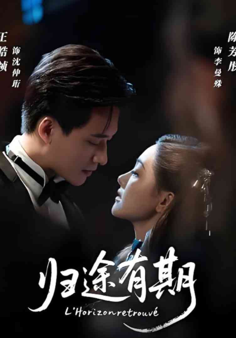 《归途有期》免费高清无广告在线播放|短剧·中国大陆·2025