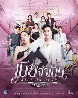 《非婚不可 普通话版》免费高清无广告在线播放|爱情,马泰剧,泰剧·泰国·2021