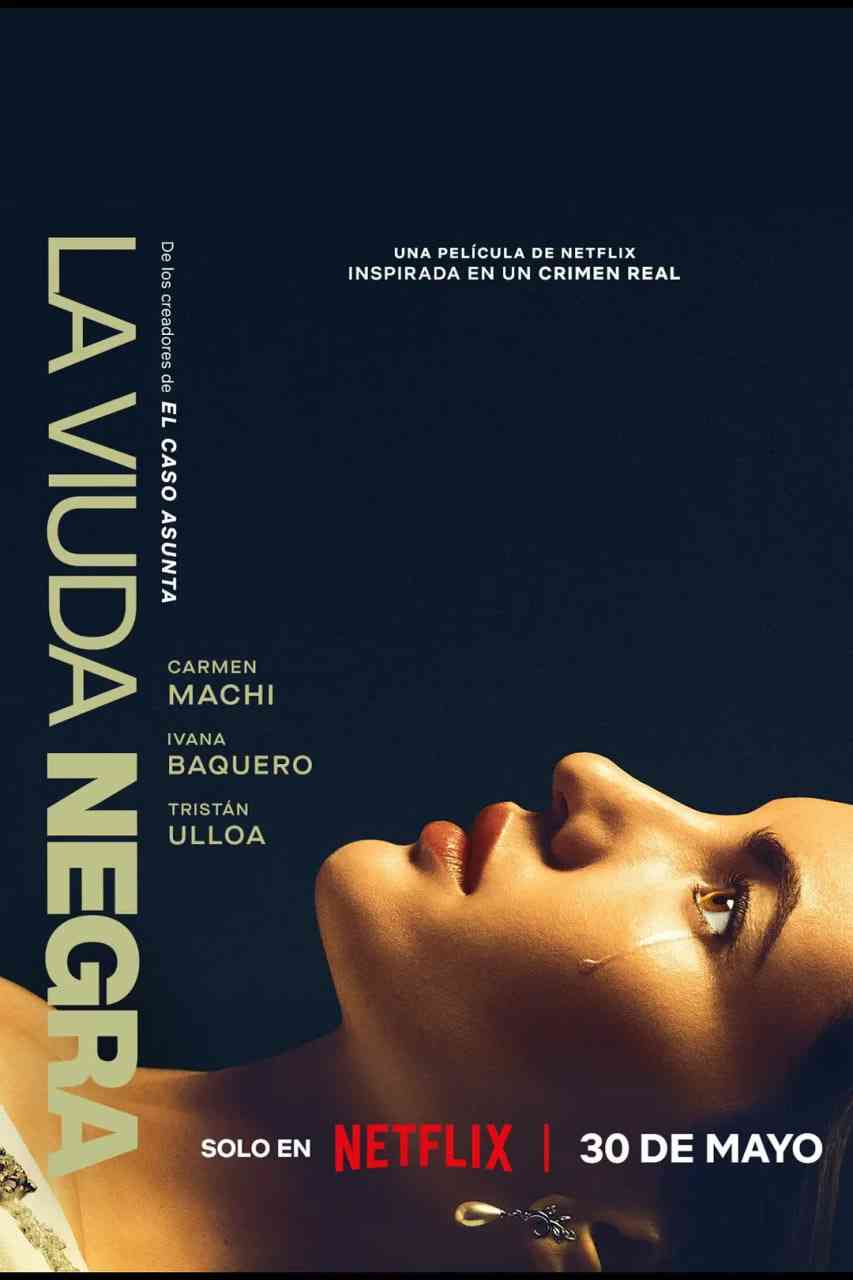 《寡妇游戏》免费高清无广告在线播放|悬疑,犯罪·西班牙·2025