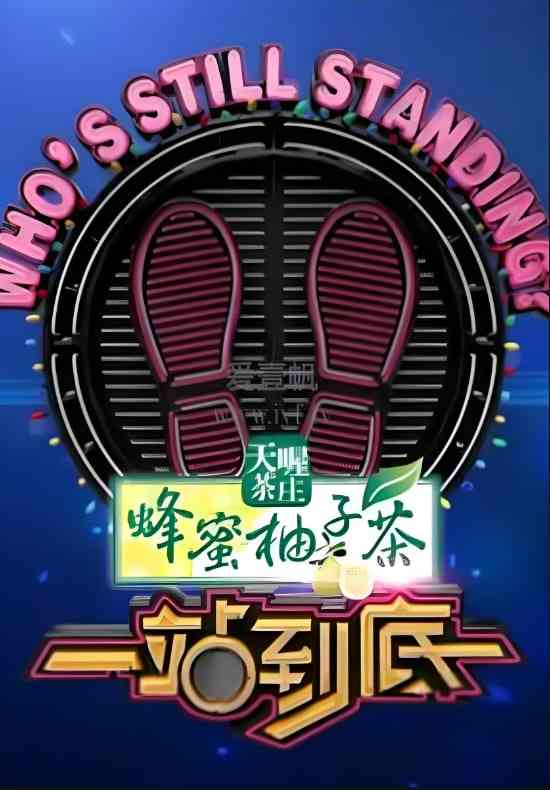 《一站到底 2017》免费高清无广告在线播放|真人秀·中国大陆·2017