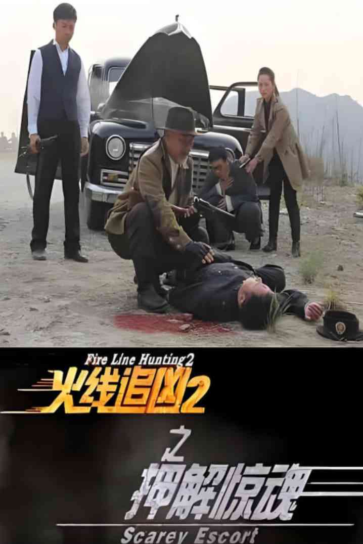 《火线追凶2之押解惊魂》免费高清无广告在线播放|剧情,犯罪·中国大陆·2013