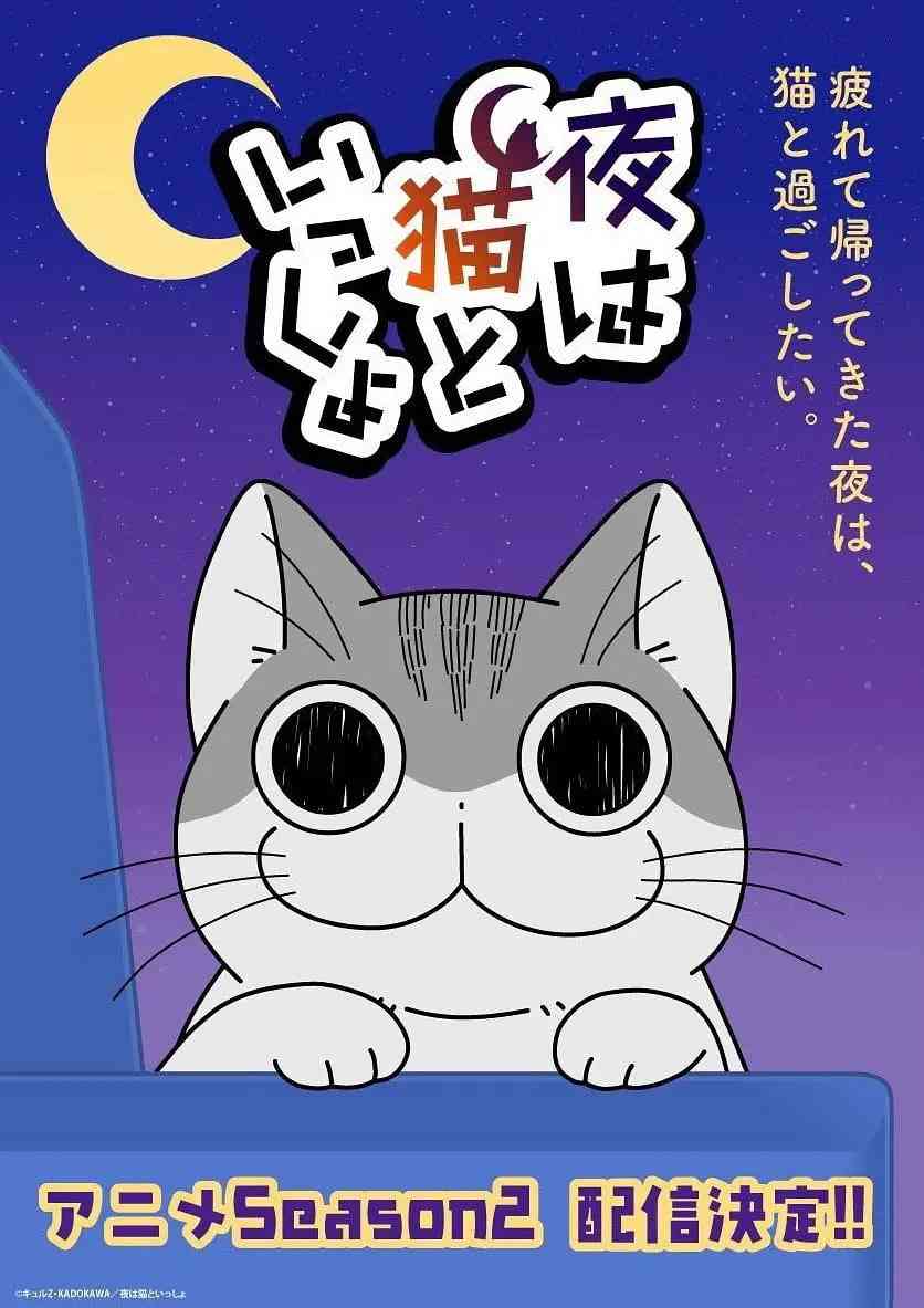 《关于养猫我一直是新手 第二季》免费高清无广告在线播放|动画·日本·2023