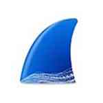 《Wireshark3.4.6抓包分析工具》免费下载|系统工具·3.4.6