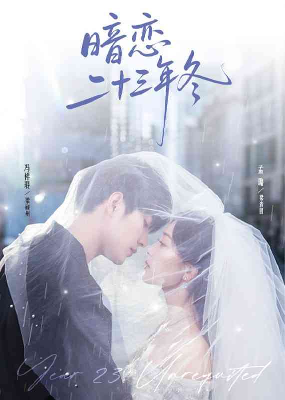 《暗恋二十三年冬》免费高清无广告在线播放|短剧·中国大陆·2025