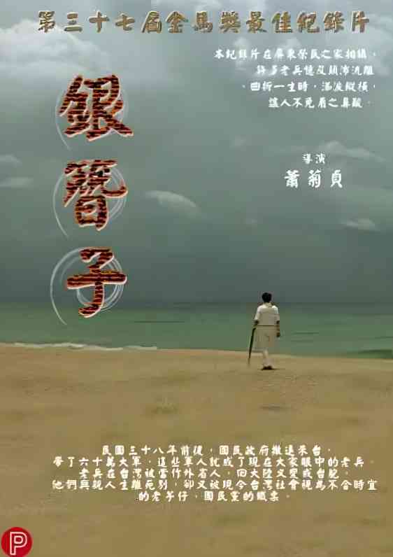 《银簪子》免费高清无广告在线播放|纪录片·中国台湾·2001