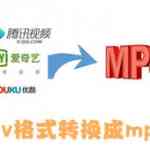 《qlv格式转换成mp4》最新版》免费下载|系统工具·1.1
