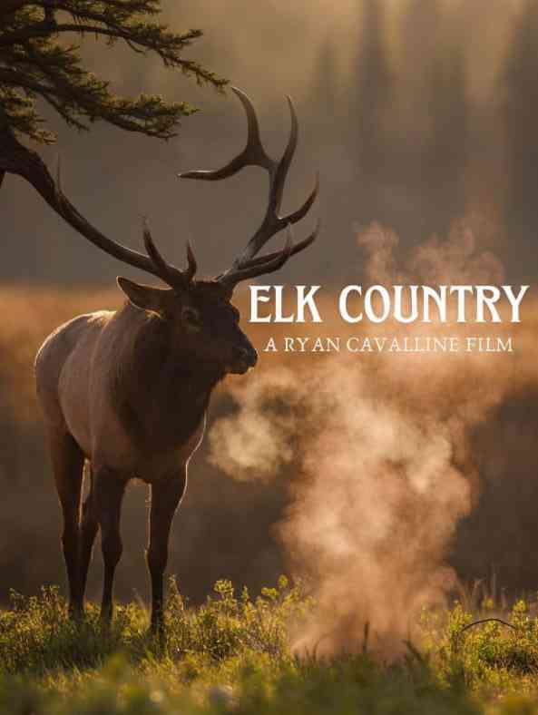 《麋鹿之乡》免费高清无广告在线播放|纪录片·美国·2025