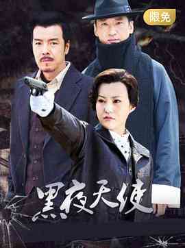 《黑夜天使》免费高清无广告在线播放|悬疑,战争·中国大陆·2012