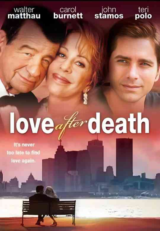 《婚姻傻瓜》免费高清无广告在线播放|剧情,喜剧,爱情·美国·1998