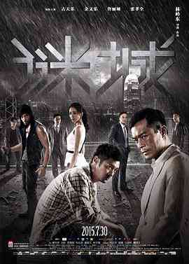 《谜城》免费高清无广告在线播放|动作,惊悚,犯罪·中国大陆,中国香港·2015