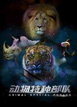 《动物特种部队 第二季》免费高清无广告在线播放|纪录片,纪录·美国·2017
