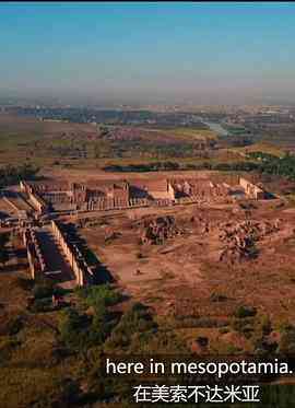 《揭秘：巴别塔的新证据》免费高清无广告在线播放|纪录片,历史·美国·2019