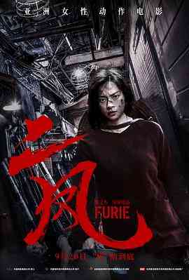 《二凤》免费高清无广告在线播放|动作·越南·2019  第1张