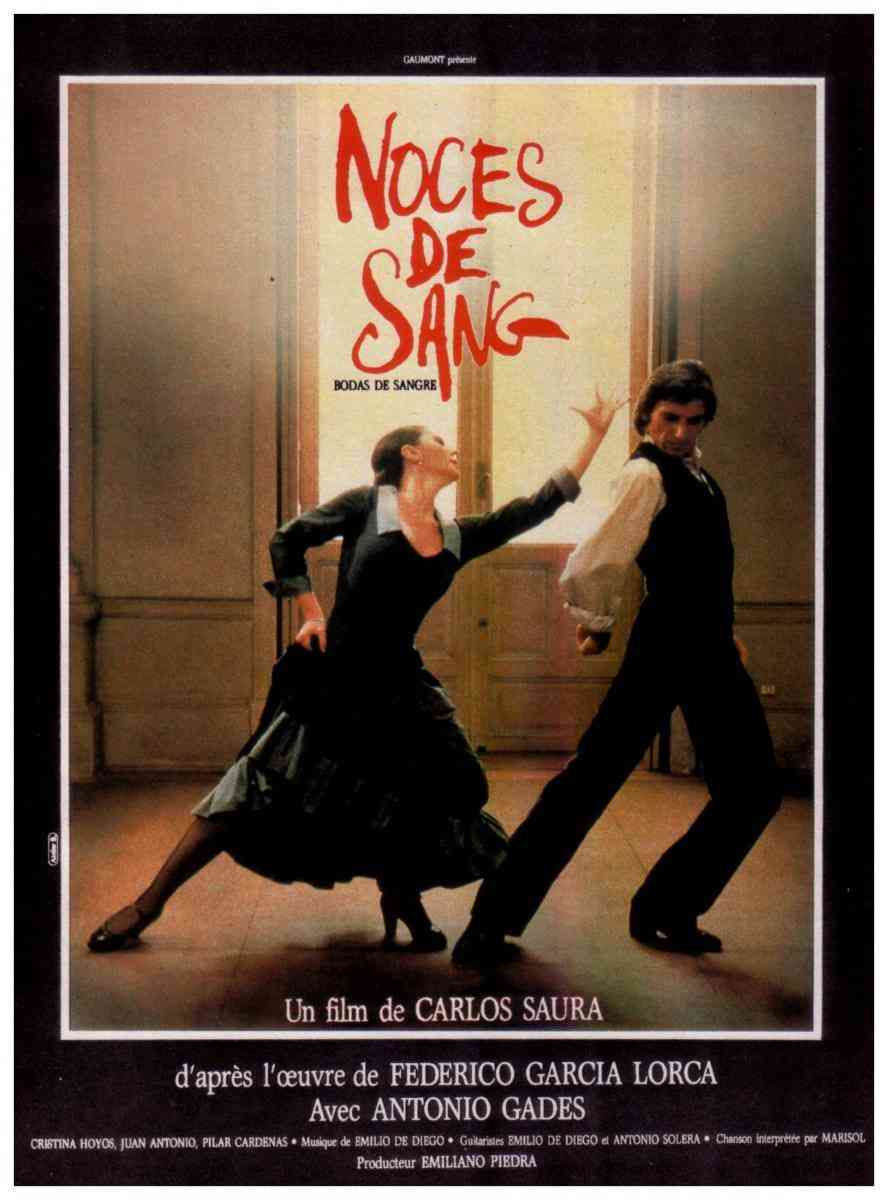 《血婚》免费高清无广告在线播放|剧情·西班牙,法国·1981