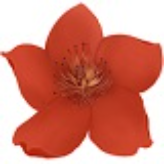 《小红花直播音效助手电脑版》免费下载|影音播放·13.3.1.0