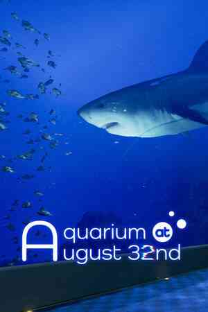 《8月32日的水族馆》游戏免费下载|冒险游戏·步行模拟·冒险