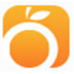 《桔子一键重装系统v3.0.0.0》软件免费下载|系统工具·3.0.0.0  第1张