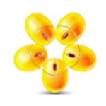 《网盘视频去净化工具v2.0》软件免费下载|系统工具·2.0