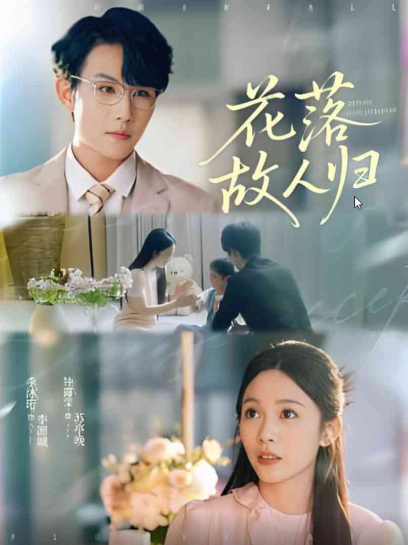 《花落故人归》全集免费高清短剧无广告在线播放|短剧·中国大陆·2025  第1张