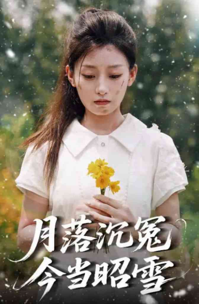 《月落沉冤今当昭雪》全集免费高清短剧无广告在线播放|短剧·中国大陆·2025  第1张