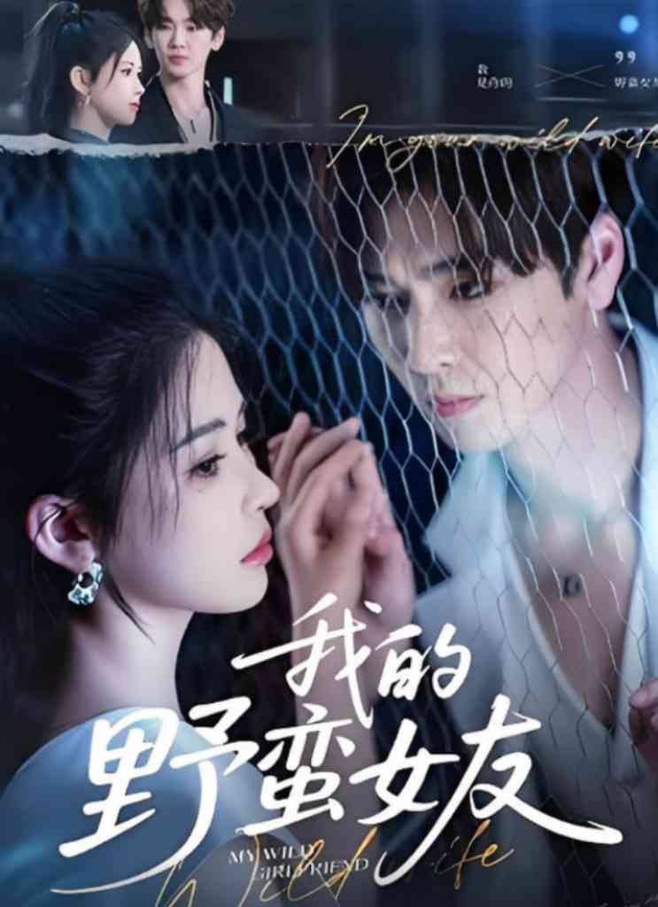 《我的野蛮女友》全集免费高清短剧无广告在线播放|短剧·中国大陆·2025  第1张