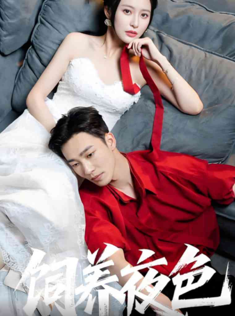 《饲养夜色》全集免费高清短剧无广告在线播放|短剧·中国大陆·2025  第1张