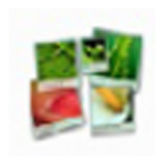 《FotoWall _图像处理工具v0.9》软件免费下载|系统工具·0.9  第1张