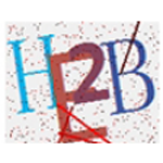 《验证码自动输入软件v1.1.1》软件免费下载|系统工具·1.1.1  第1张