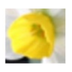 《阿卢国际音标v1.1.4.238》软件免费下载|系统工具·1.1.4.238  第1张