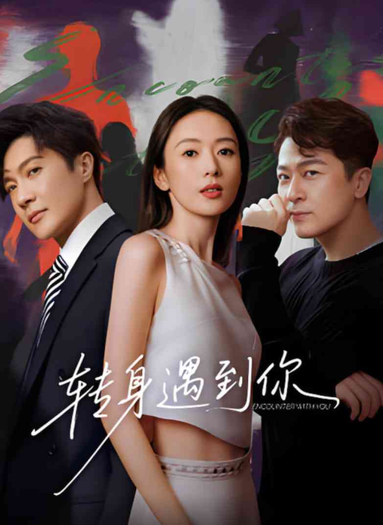 《转身遇到你》全集免费高清电视剧无广告在线播放|动作·中国大陆·2025  第1张