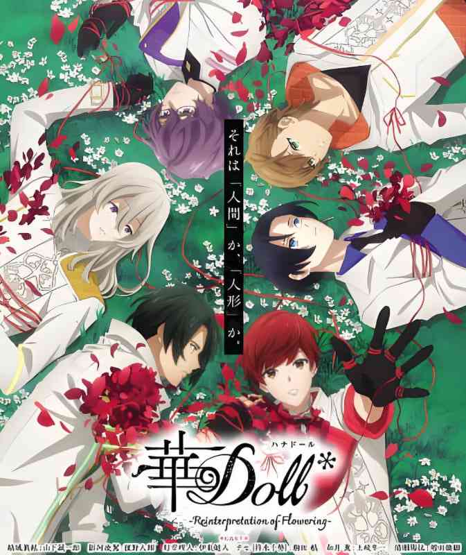 《华Doll》全集免费高清动漫无广告在线播放|动画,音乐·日本·2025  第1张