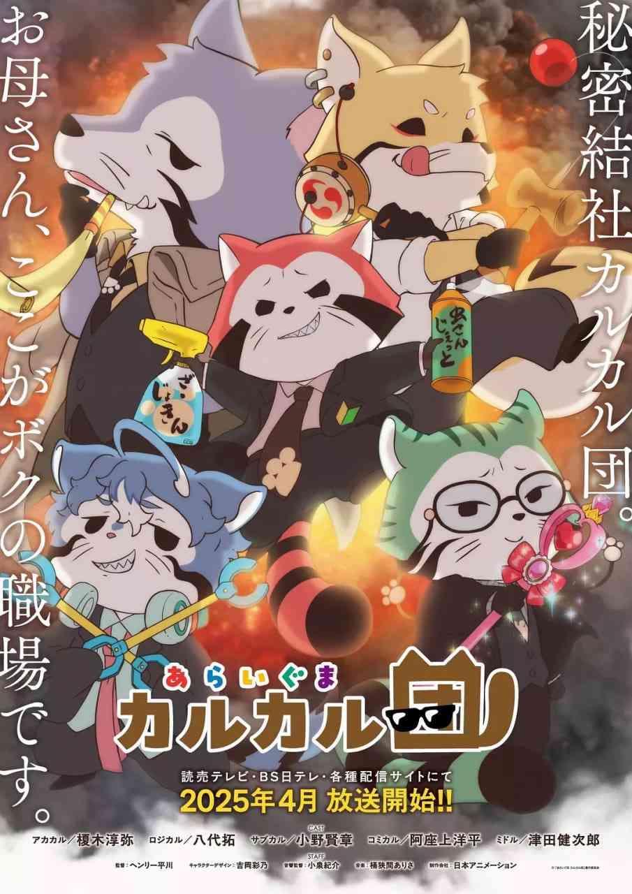 《小浣熊》全集免费高清动漫无广告在线播放|动画·日本·2025  第1张