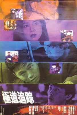 《极道追踪》最新免费高清电影无广告在线播放|爱情·中国香港·1991  第1张