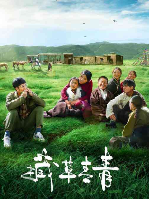 《藏草青青》最新免费高清电影无广告在线播放|剧情·中国大陆·2021  第1张