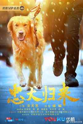 《忠犬归来》最新免费高清电影无广告在线播放|剧情·中国大陆·2020  第1张