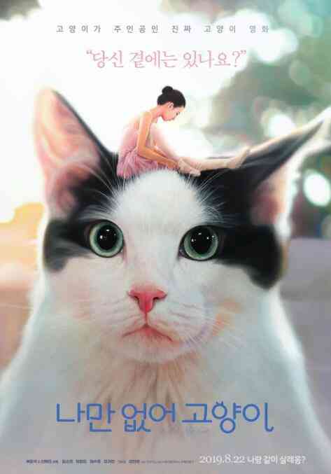 《只有我没有猫》最新免费高清电影无广告在线播放|剧情·韩国·2019  第1张