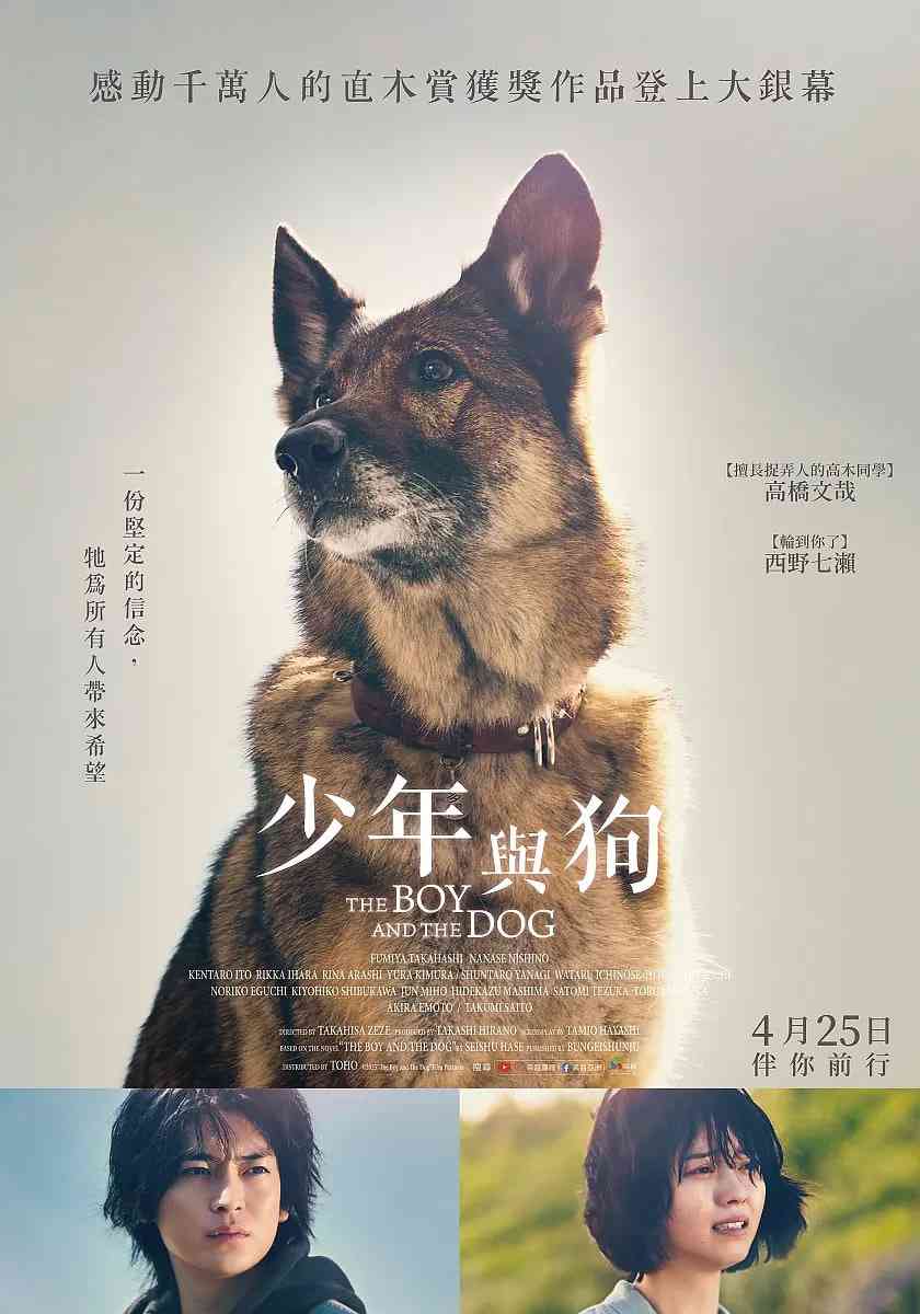 《少年与犬》最新免费高清电影无广告在线播放|剧情·日本·2025  第1张