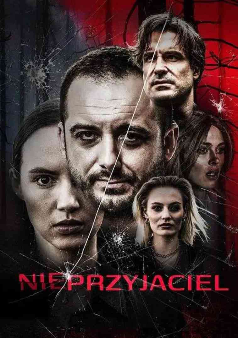 《敌人》最新免费高清电影无广告在线播放|惊悚·波兰·2025  第1张