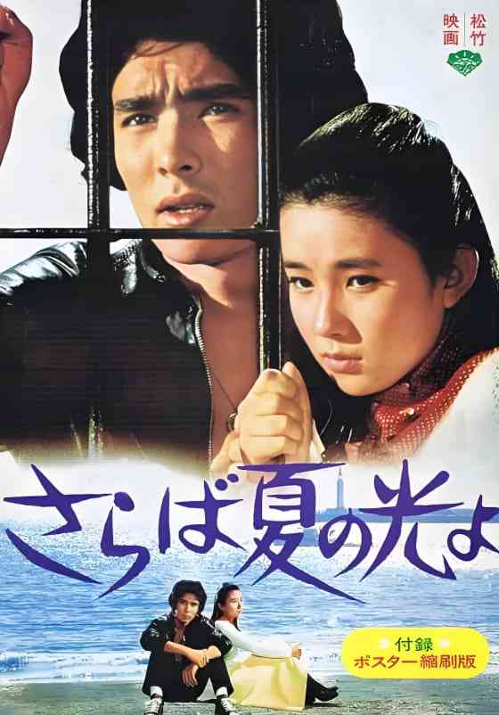 《再见，夏日之光》最新免费高清电影无广告在线播放|剧情,爱情·日本·1976  第1张