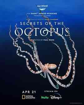 《章鱼的秘密》最新免费高清电影无广告在线播放|纪录片,冒险,纪录·澳大利亚,美国·2024  第1张
